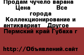 Продам чучело варана. › Цена ­ 15 000 - Все города Коллекционирование и антиквариат » Другое   . Пермский край,Губаха г.